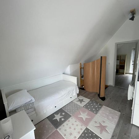 Modern House Close To Basel, Freiburg, Mulhouse, Europa-Park Villa Chalampe Kültér fotó